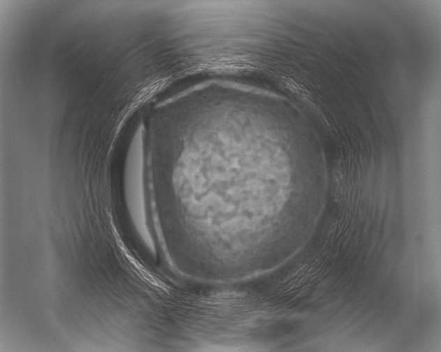 X0000052570734200507221501