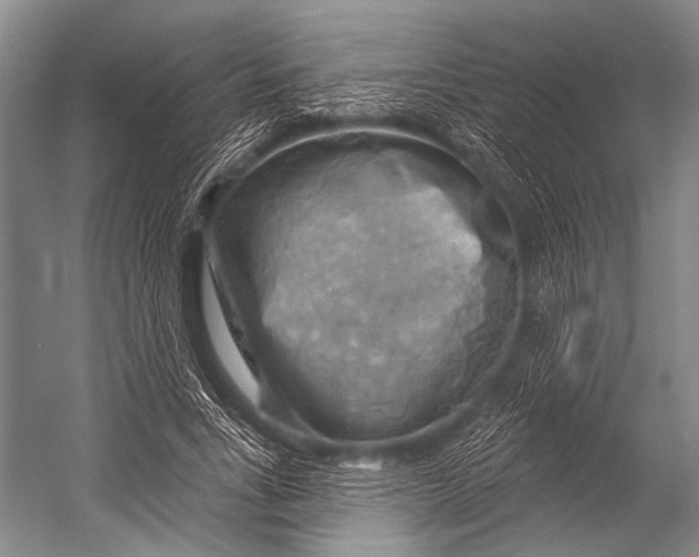 X0000052570735200507221501