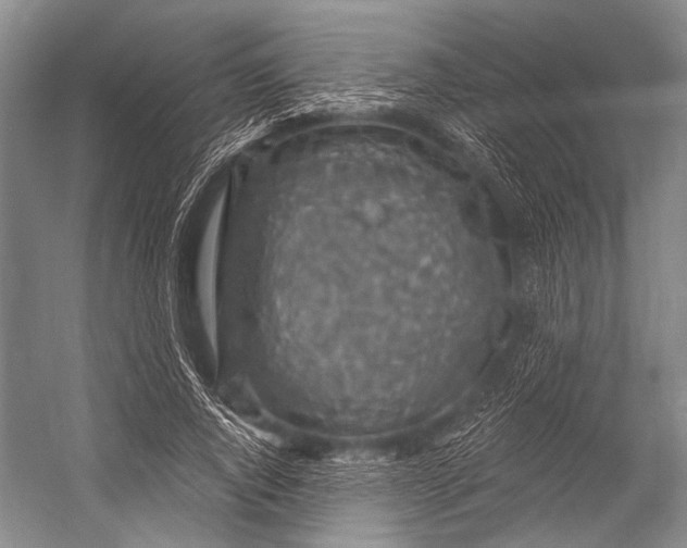 X0000052570736200507221501