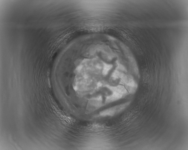 X0000052570737200507221501