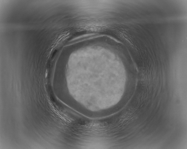 X0000052570738200507221501