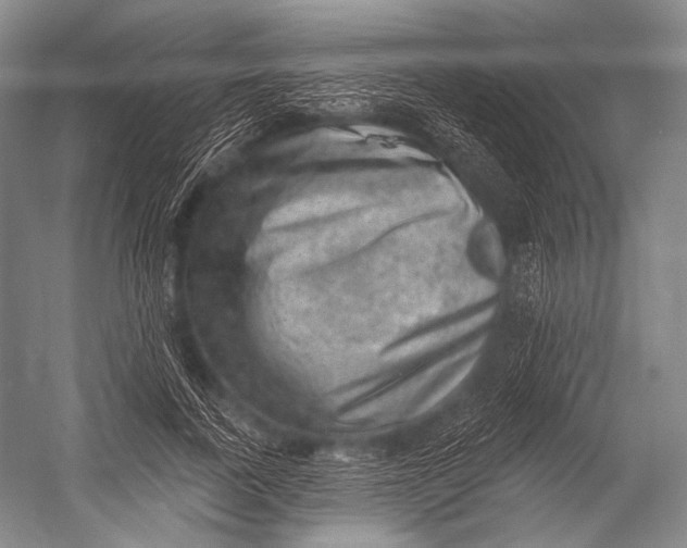 X0000052570739200507221501