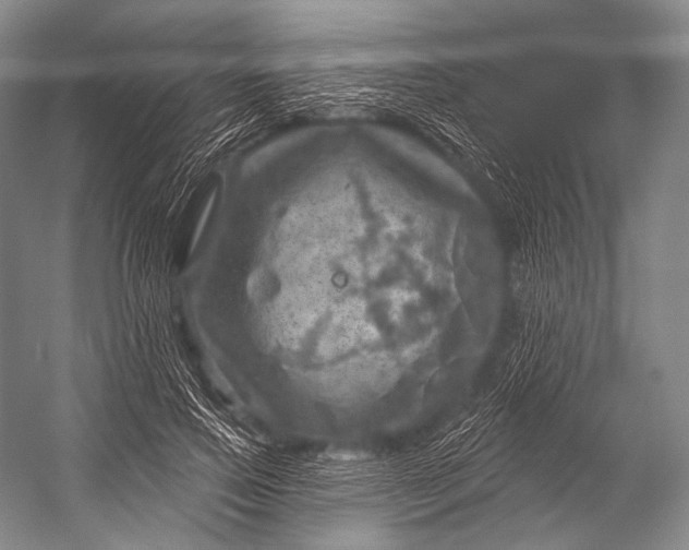 X0000052570741200507221501