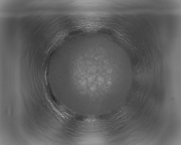 X0000052570742200507221501