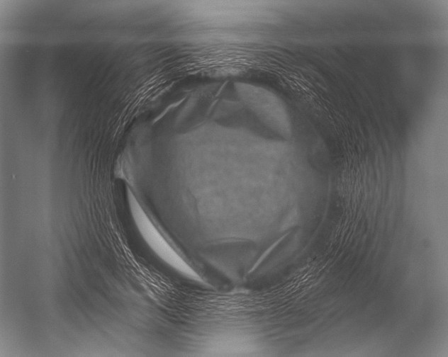 X0000052570743200507221501