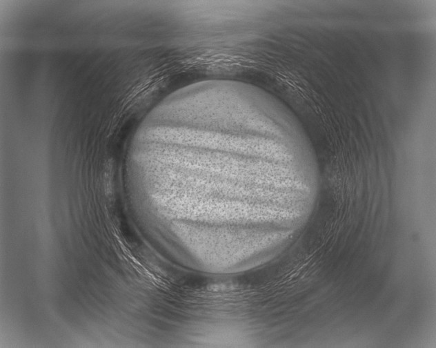 X0000052570744200507221501