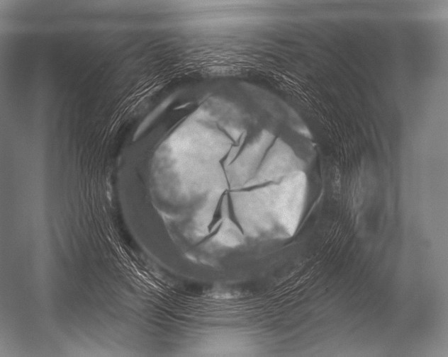 X0000052570746200507221501