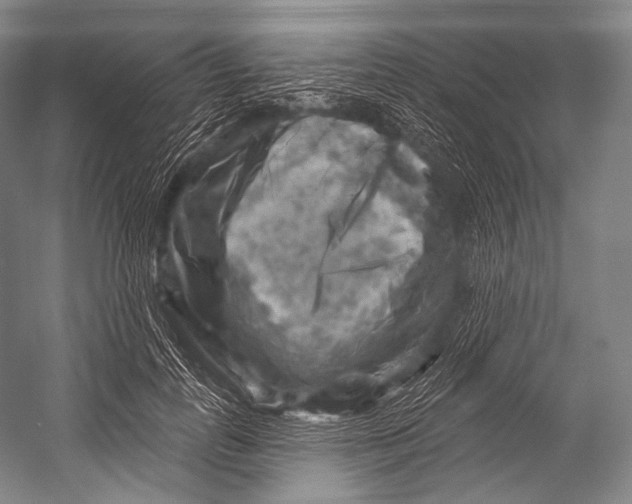 X0000052570747200507221501