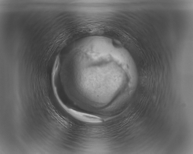 X0000052570748200507221501