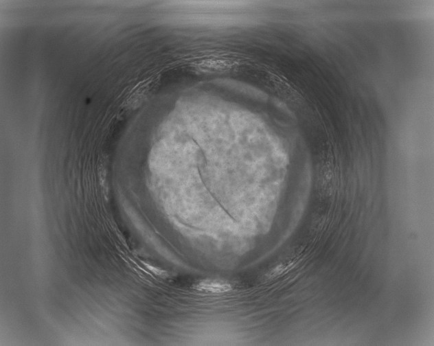 X0000052570749200507221501