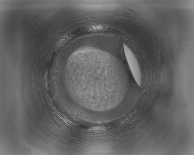 X0000052570750200507221501