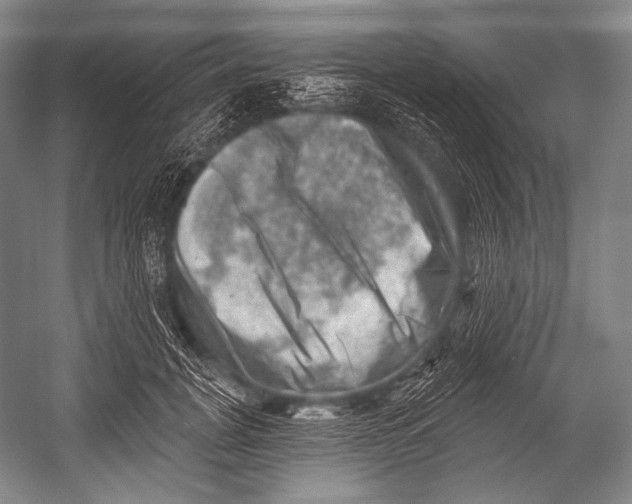 X0000052570751200507221501