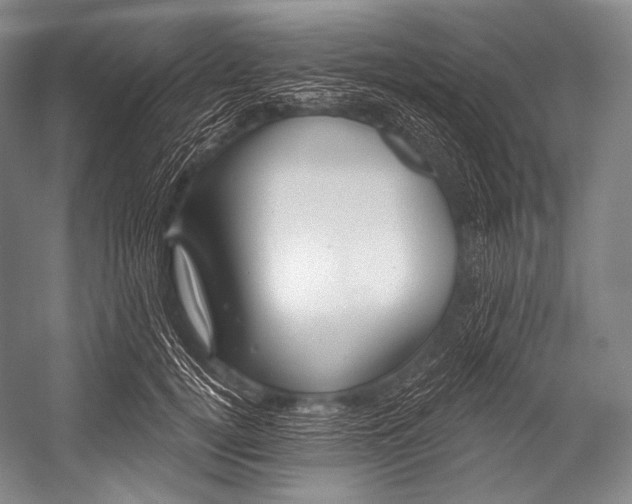 X0000052570752200507221502