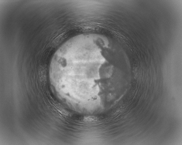 X0000052570753200507221502