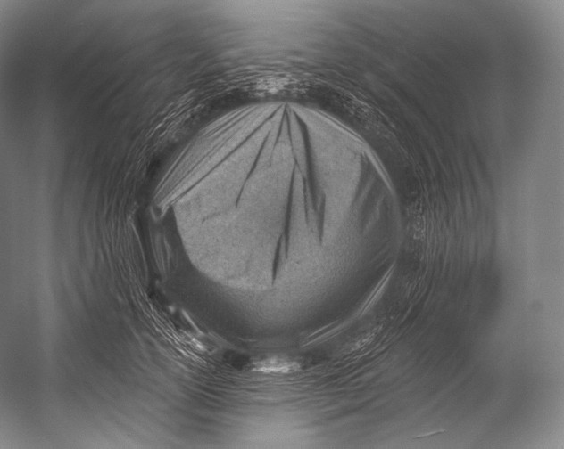 X0000052570754200507221502