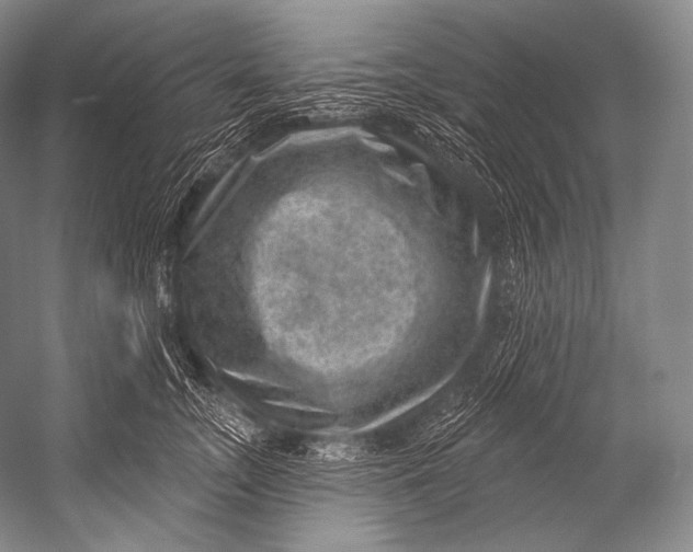 X0000052570755200507221502