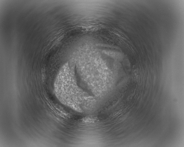 X0000052570756200507221502