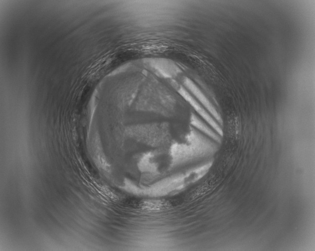 X0000052570757200507221502