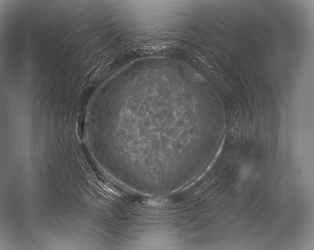 X0000052570758200507221502