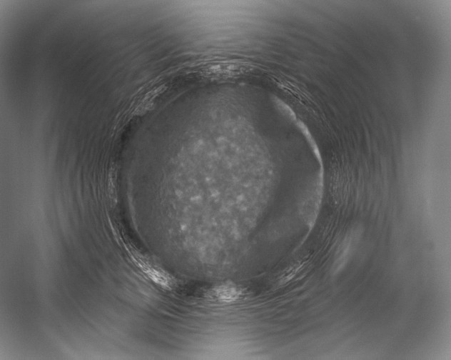 X0000052570759200507221502