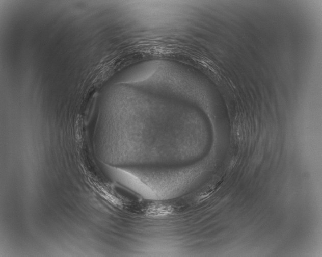 X0000052570760200507221502