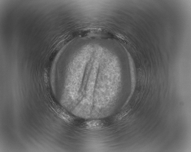 X0000052570761200507221502