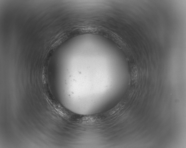 X0000052570764200507221502