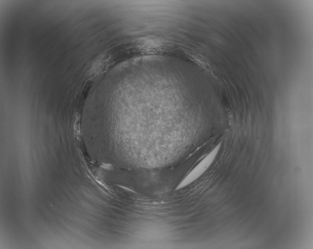 X0000052570766200507221502