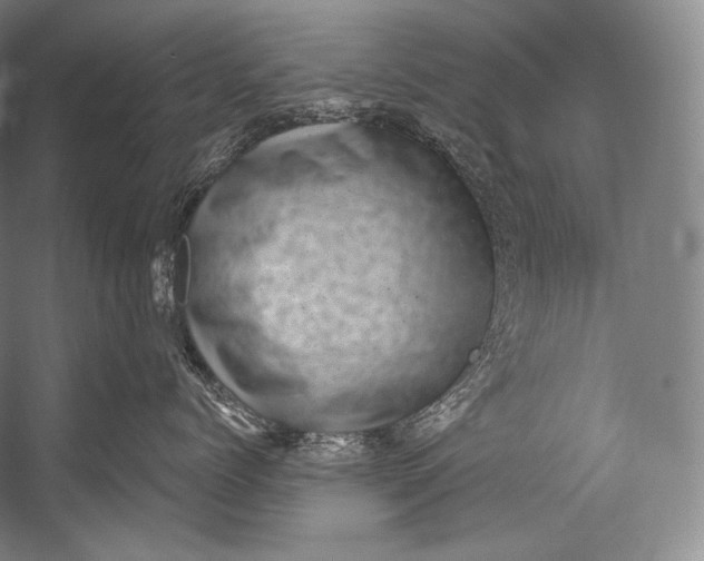 X0000052570768200507221502