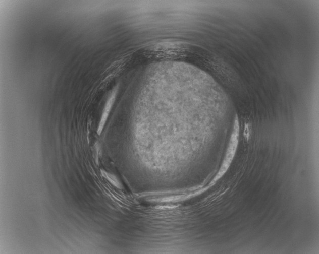 X0000052570771200507221501