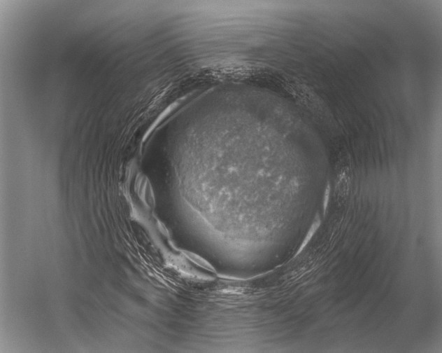 X0000052570772200507221501