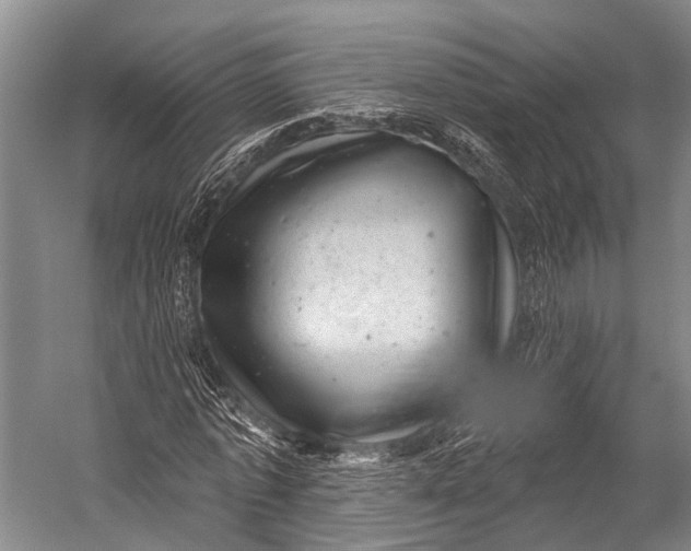 X0000052570773200507221501