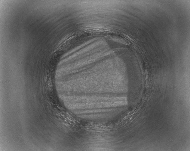 X0000052570774200507221501