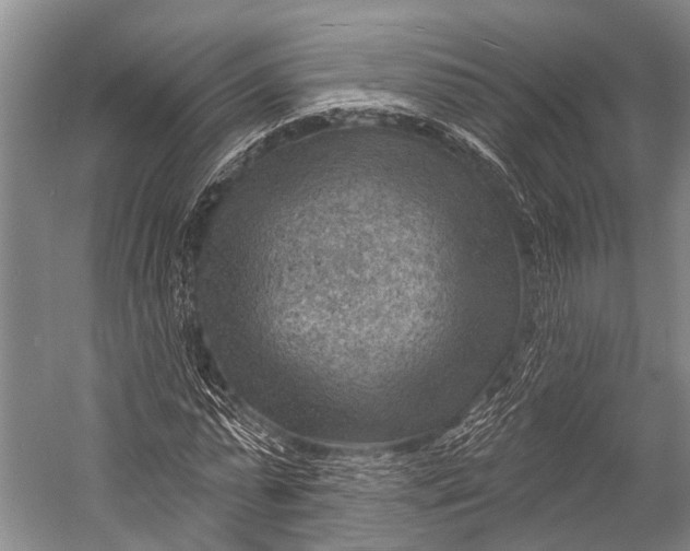 X0000052570775200507221501