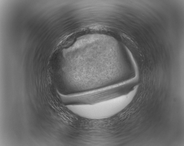 X0000052570776200507221501