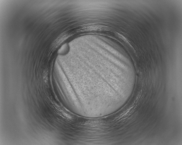 X0000052570778200507221501