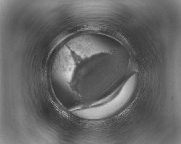 X0000052570779200507221501