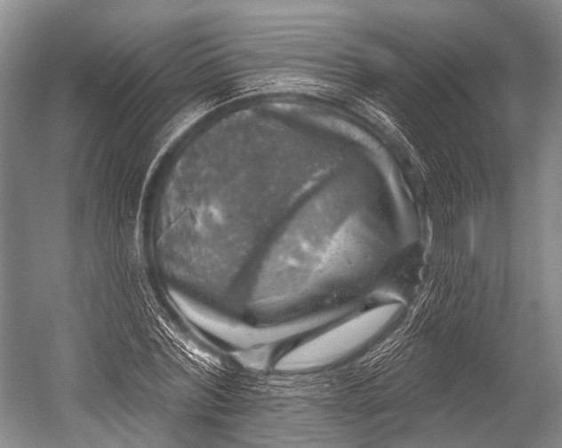 X0000052570780200507221501