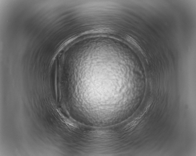 X0000052570781200507221501