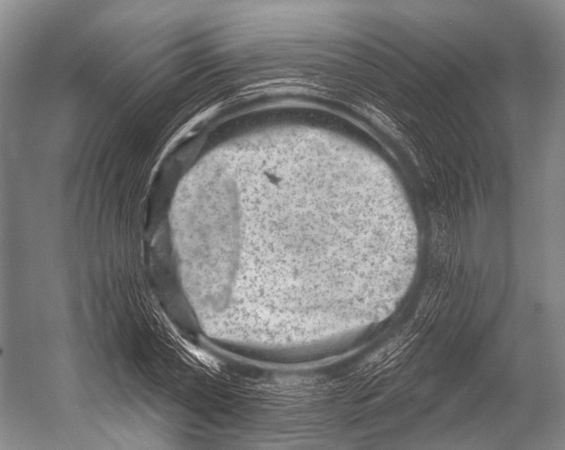 X0000052570782200507221501