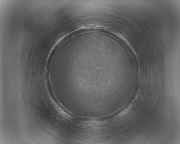 X0000052570783200507221501