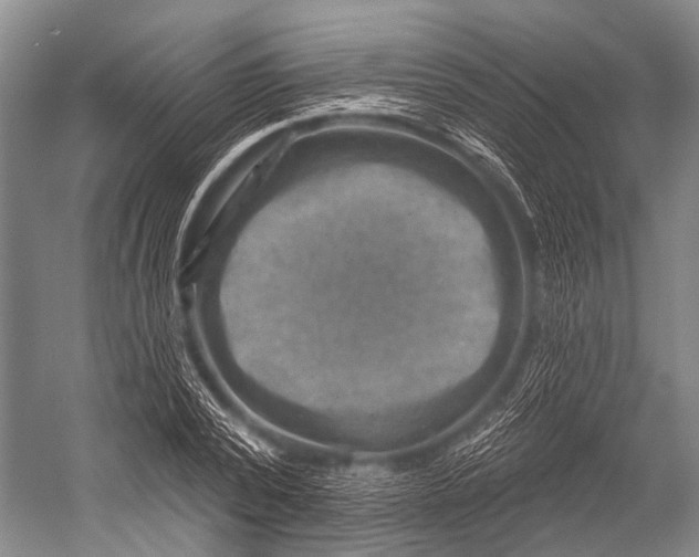 X0000052570784200507221501