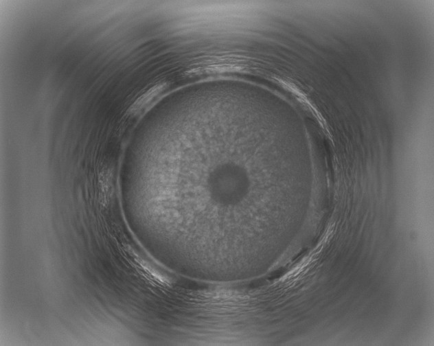 X0000052570785200507221501