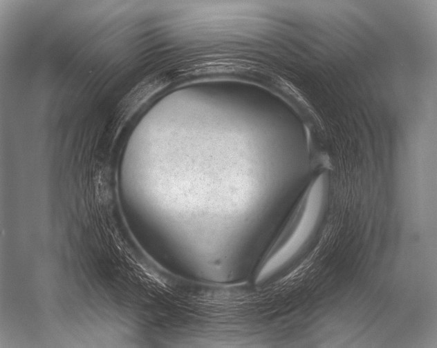 X0000052570786200507221501