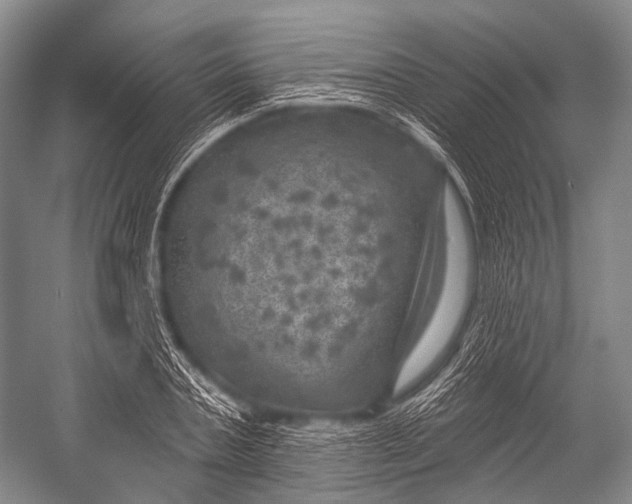 X0000052570787200507221501