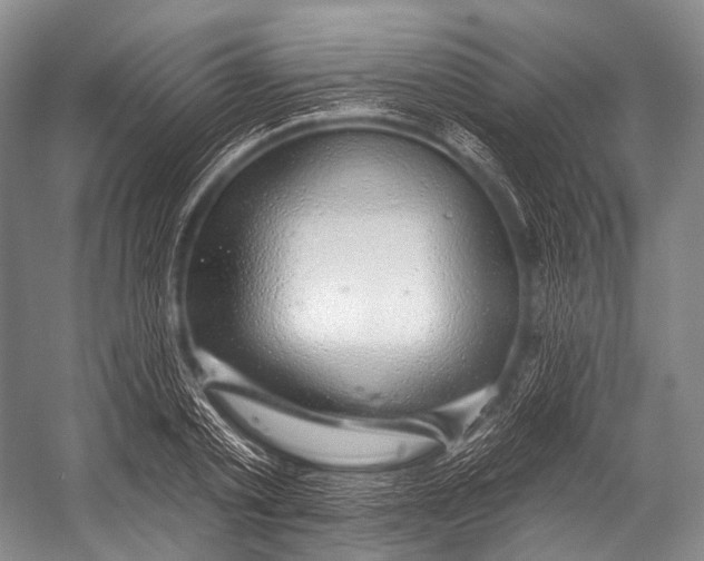 X0000052570789200507221501