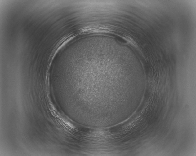 X0000052570790200507221501