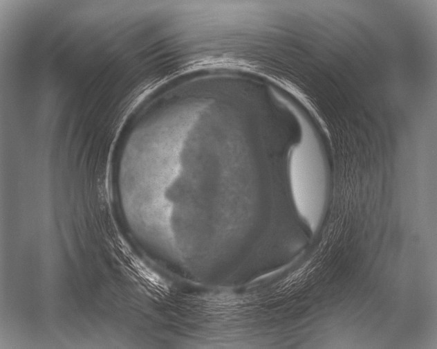 X0000052570791200507221501