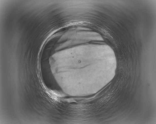 X0000052570792200507221501