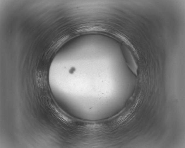 X0000052570793200507221501